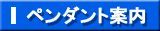 エスティペンダント【ニトロケース】案内